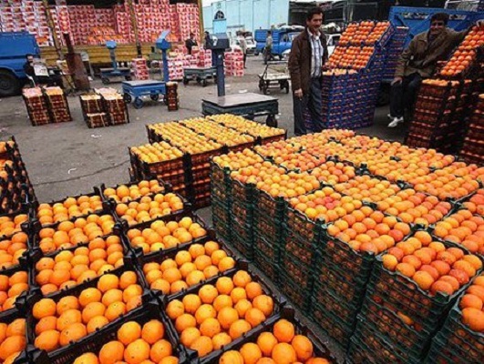 ذخیره سازی 600 تن میوه در استان برای عرضه نوروزی,